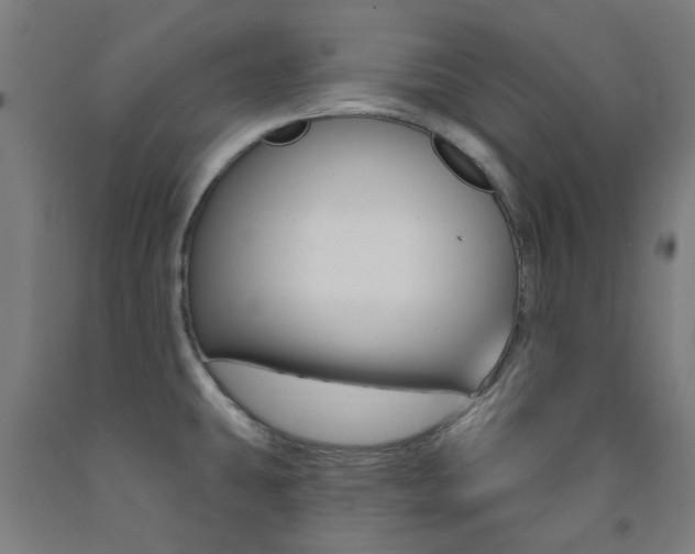 X0000093141431200709261048