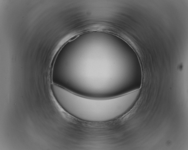 X0000093141434200709261048