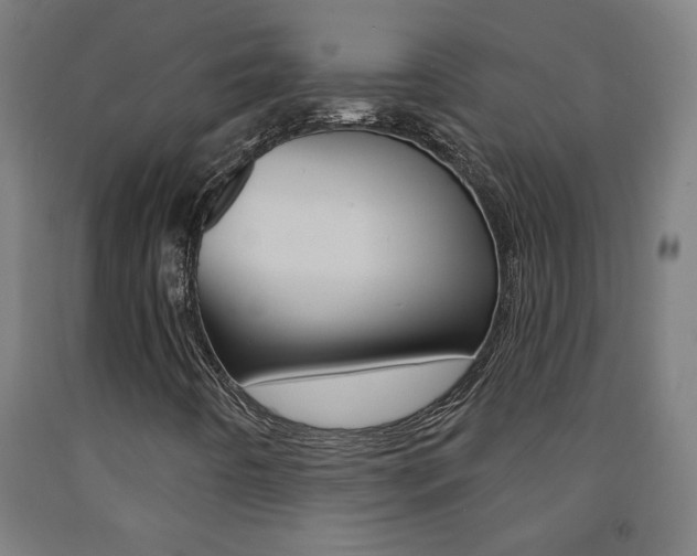 X0000093141442200709261048