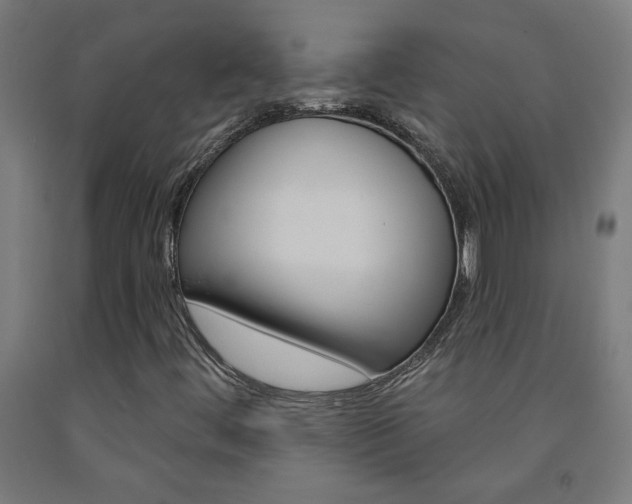 X0000093141444200709261047