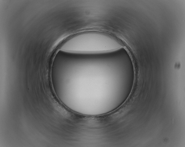 X0000093141450200709261047