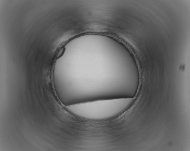 X0000093141451200709261047