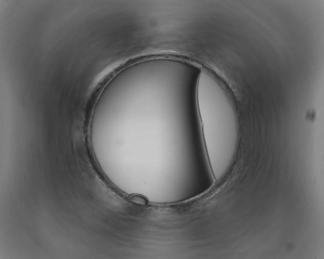 X0000093141452200709261047
