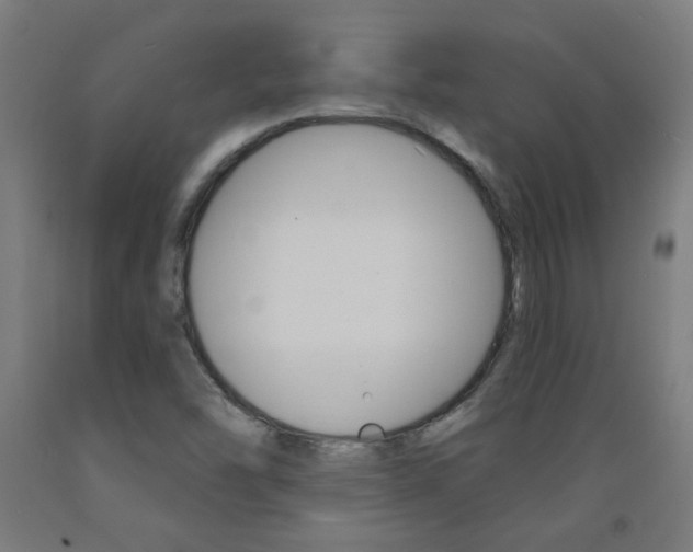 X0000093141454200709261047