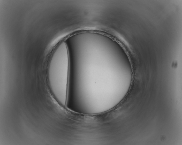 X0000093141456200709261047