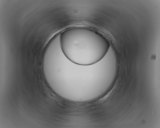 X0000093141457200709261047