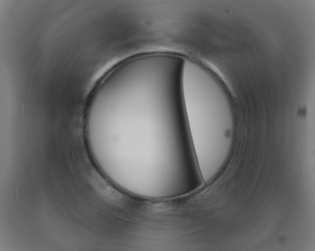 X0000093141460200709261047