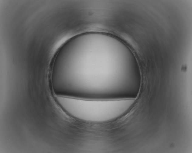 X0000093141463200709261047