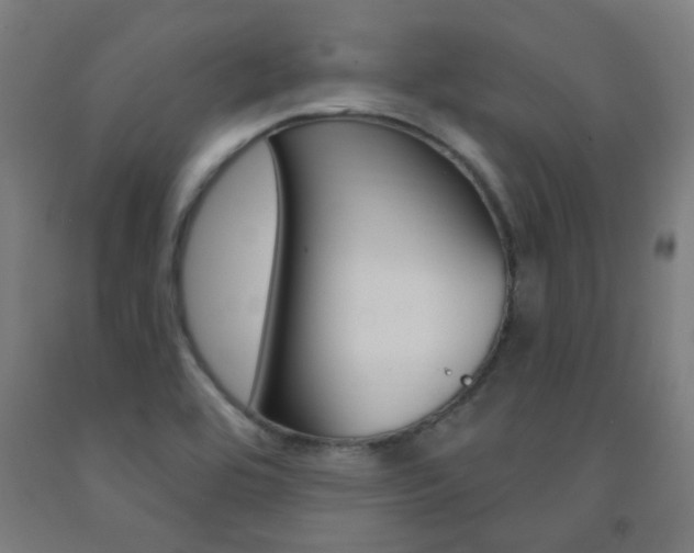 X0000093141464200709261047
