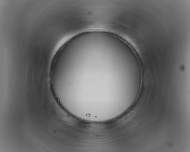 X0000093141469200709261047