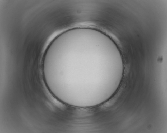 X0000093141470200709261047