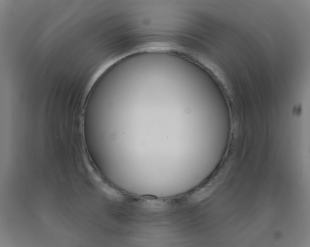 X0000093141473200709261047