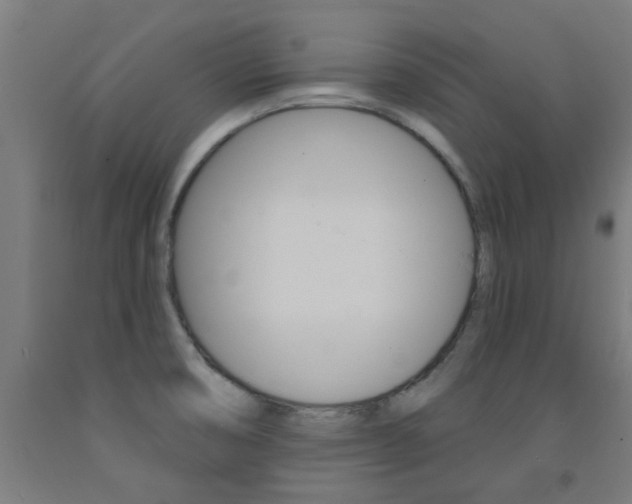 X0000093141474200709261047