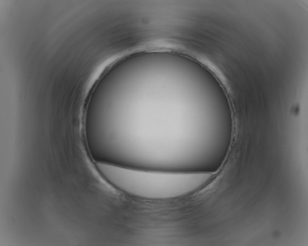 X0000093141477200709261047