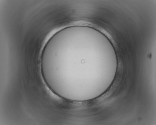 X0000093141478200709261047