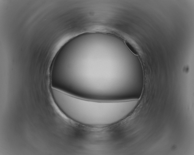 X0000093141479200709261047