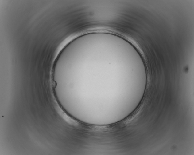 X0000093141482200709261047