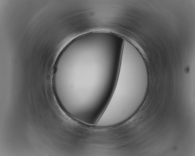 X0000093141484200709261047