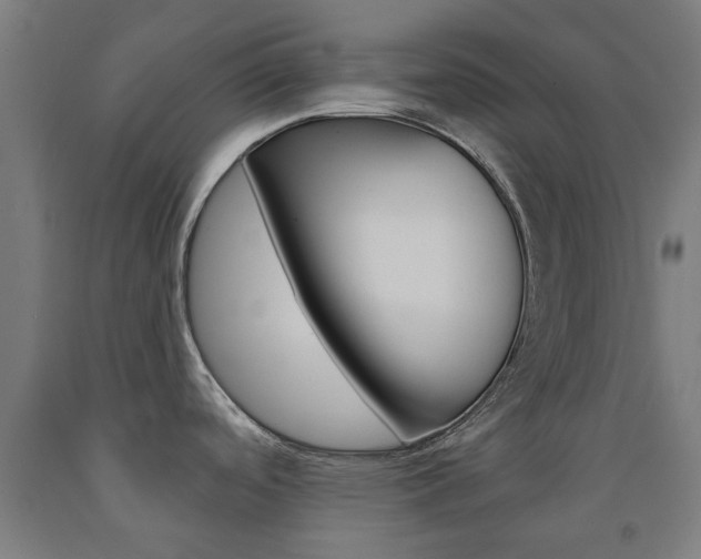 X0000093141488200709261047