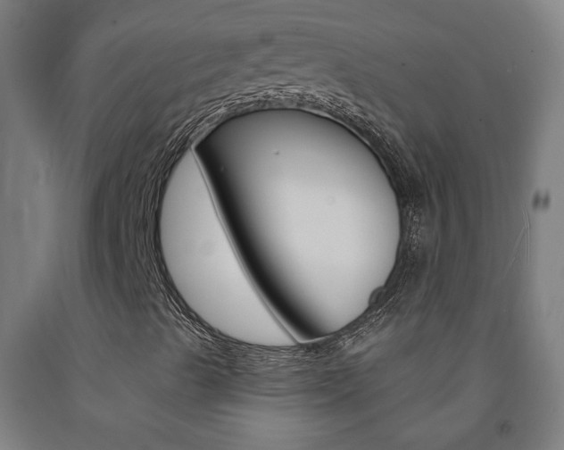 X0000093141489200709261046