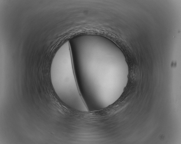 X0000093141490200709261046