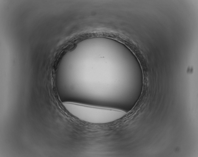 X0000093141493200709261046