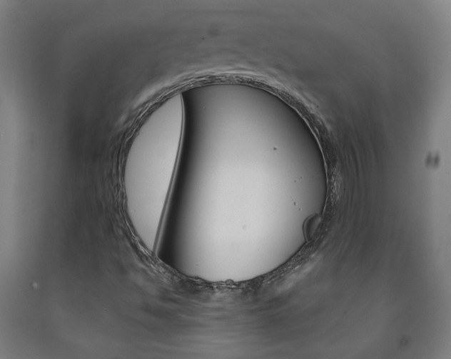 X0000093141494200709261046