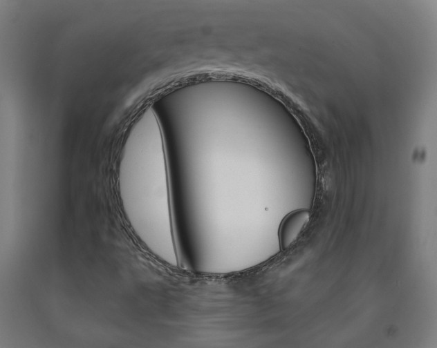 X0000093141495200709261046