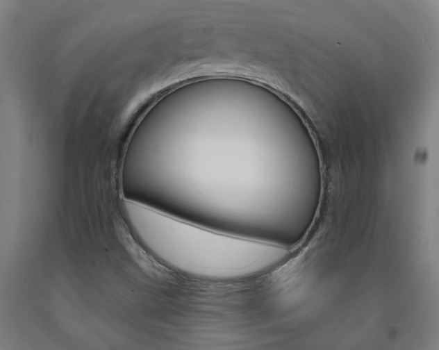 X0000093141499200709261046