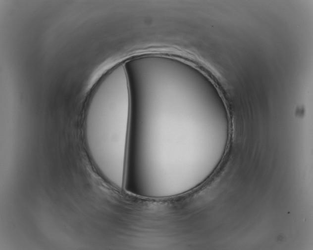 X0000093141501200709261046