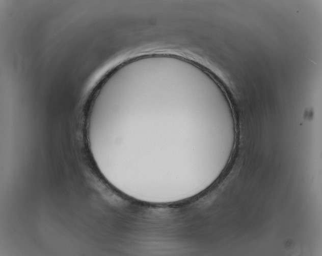 X0000093141502200709261046