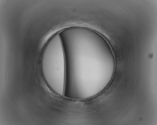X0000093141503200709261046