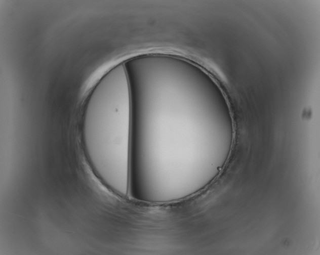 X0000093141504200709261046
