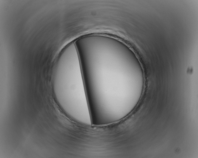 X0000093141505200709261046