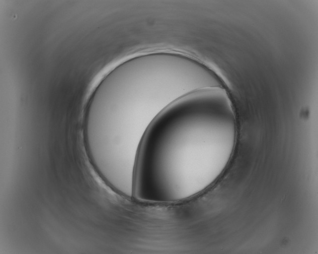 X0000093141508200709261046