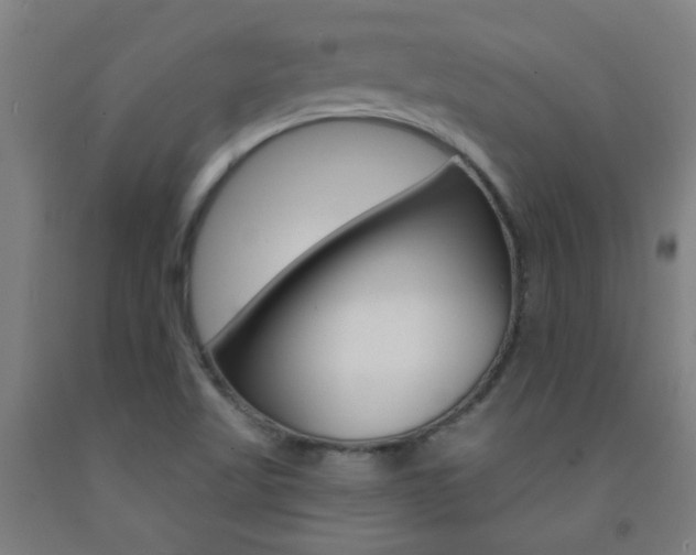 X0000093141509200709261046