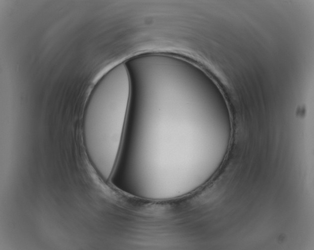 X0000093141513200709261046