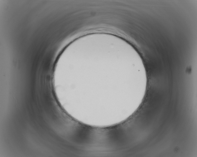 X0000093141514200709261046
