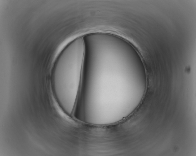 X0000093141515200709261046