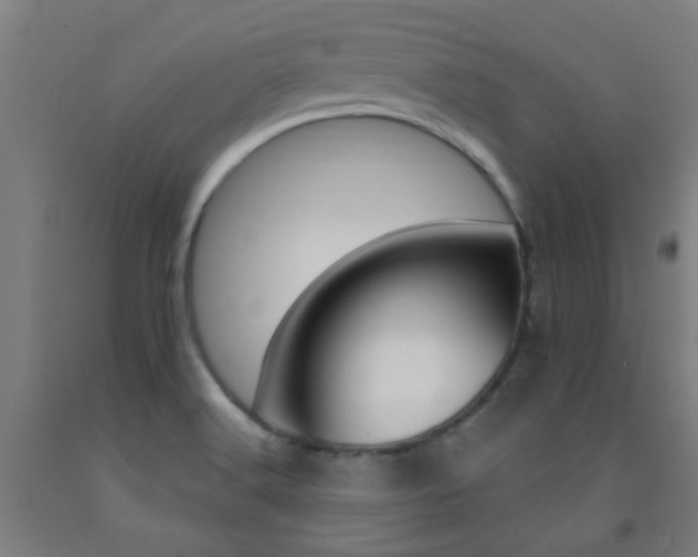 X0000093141516200709261046