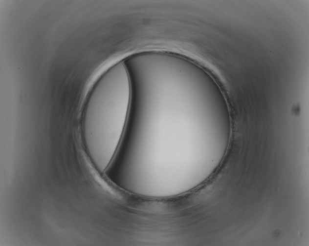 X0000093141517200709261047
