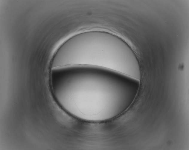 X0000093141518200709261047