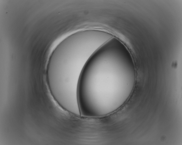 X0000093141520200709261047