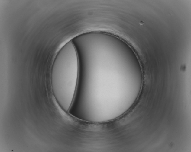 X0000093141521200709261047