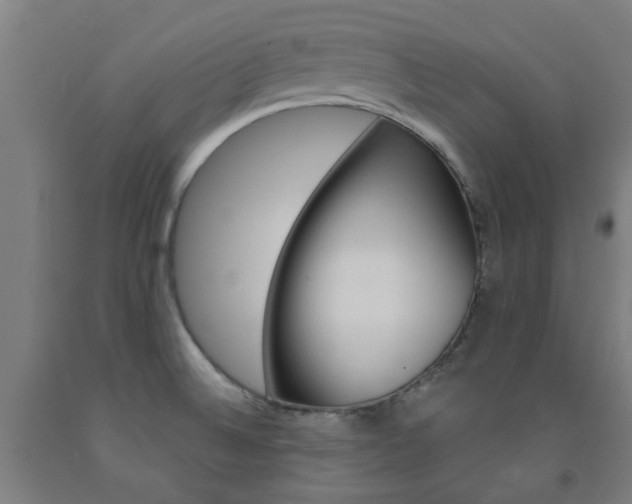 X0000093141524200709261047