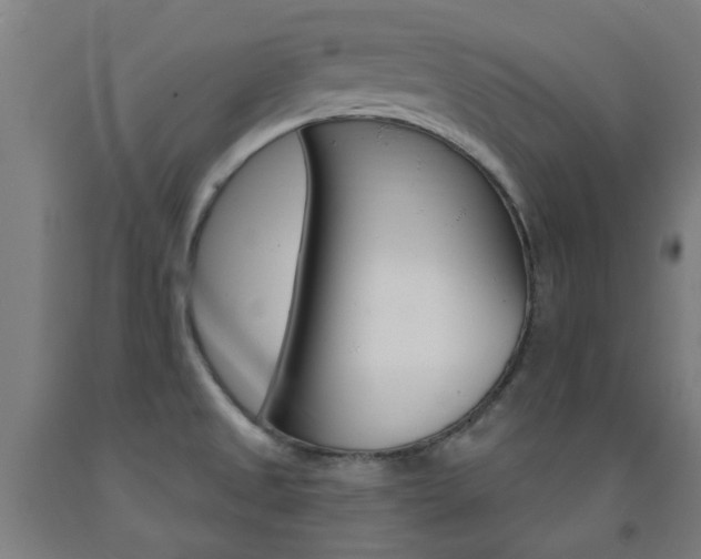 X0000093141525200709261047