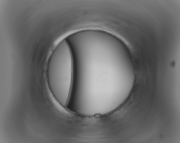X0000093141526200709261047