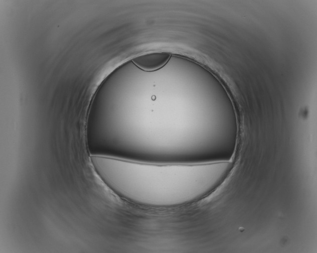 X0000093141529200709261047