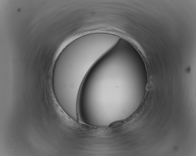 X0000093141530200709261047