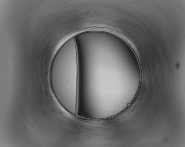 X0000093141533200709261047